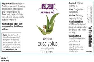 Eucalyptus Globulus Oil