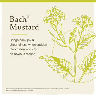 Bach Original Flower Remedies, Mustard for Joy, Natural Homeopathic Flower Essence, Emotional Wellness and Stress Relief, Holiday Gift for Him or Her, Vegan, 20mL Dropper