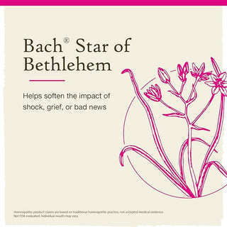 Bach Original Flower Remedies, Star of Bethlehem for Grief and Shock (Non-Alcohol Formula), 10mL Dropper