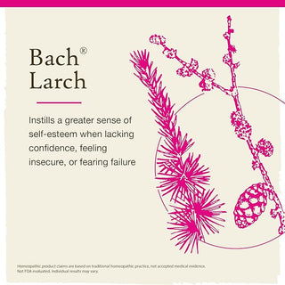 Bach Original Flower Remedies, Larch for Confidence (Non-Alcohol Formula), 10mL Dropper